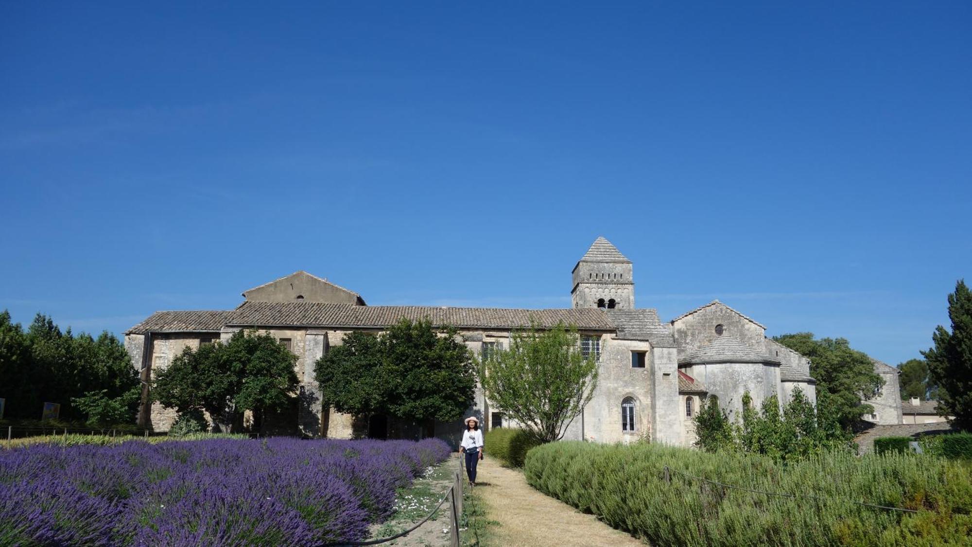 Les Lavandins-Gite Magali Saint-Rémy-de-Provence Eksteriør billede