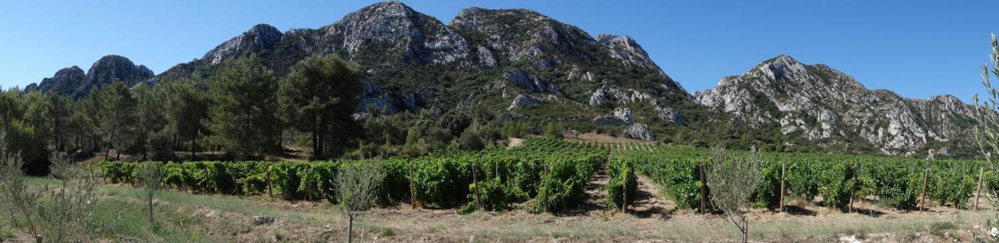 Les Lavandins-Gite Magali Saint-Rémy-de-Provence Eksteriør billede