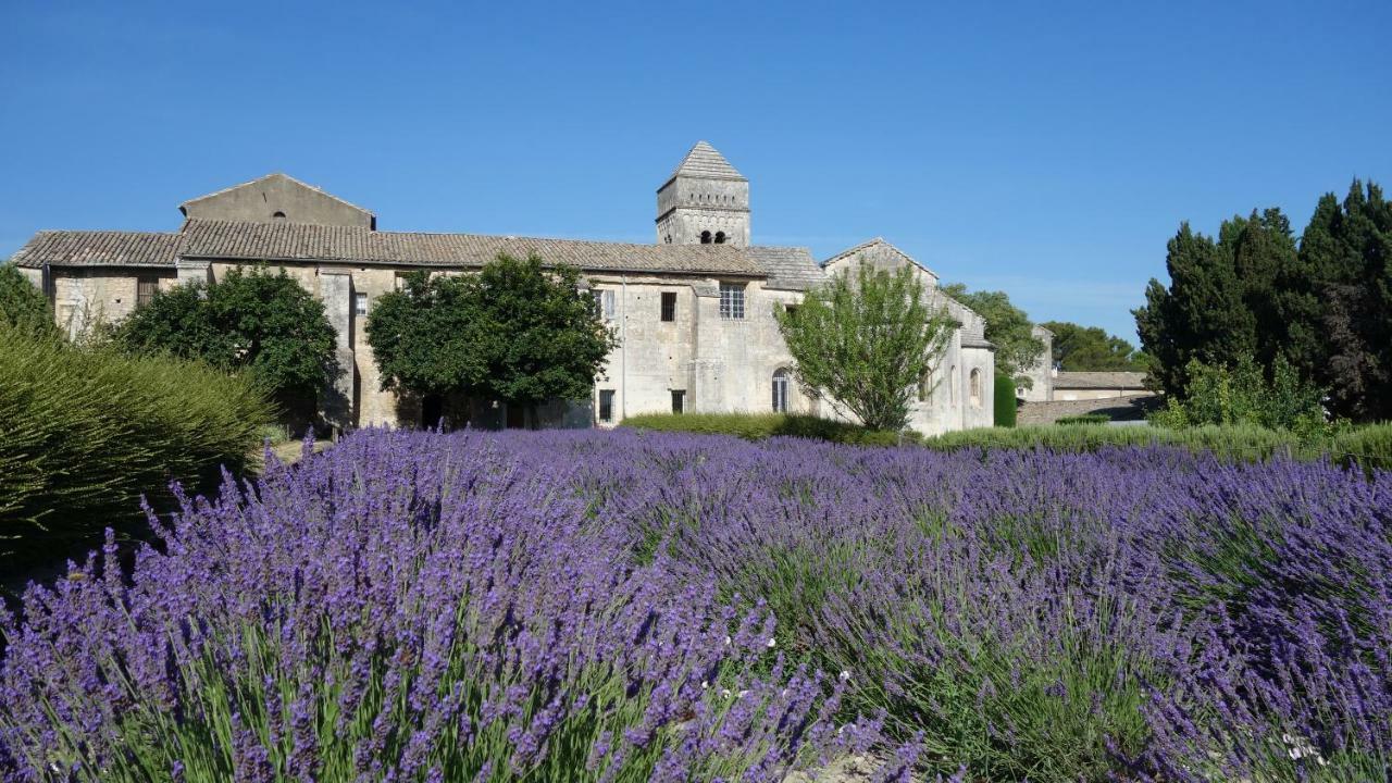 Les Lavandins-Gite Magali Saint-Rémy-de-Provence Eksteriør billede