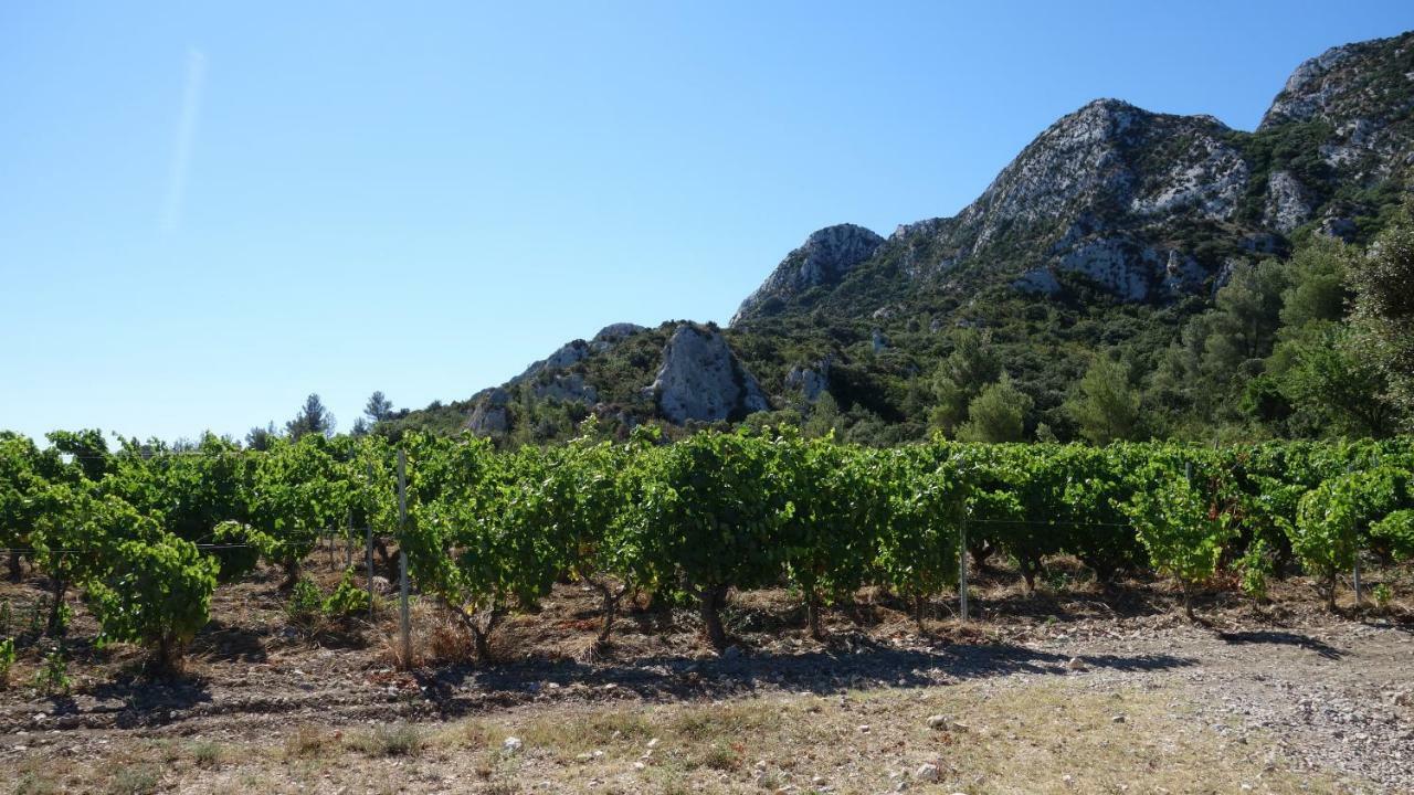 Les Lavandins-Gite Magali Saint-Rémy-de-Provence Eksteriør billede
