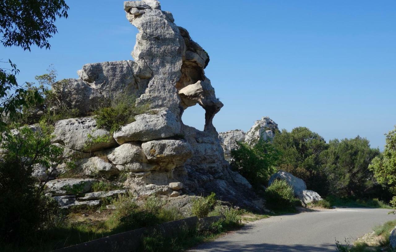 Les Lavandins-Gite Magali Saint-Rémy-de-Provence Eksteriør billede