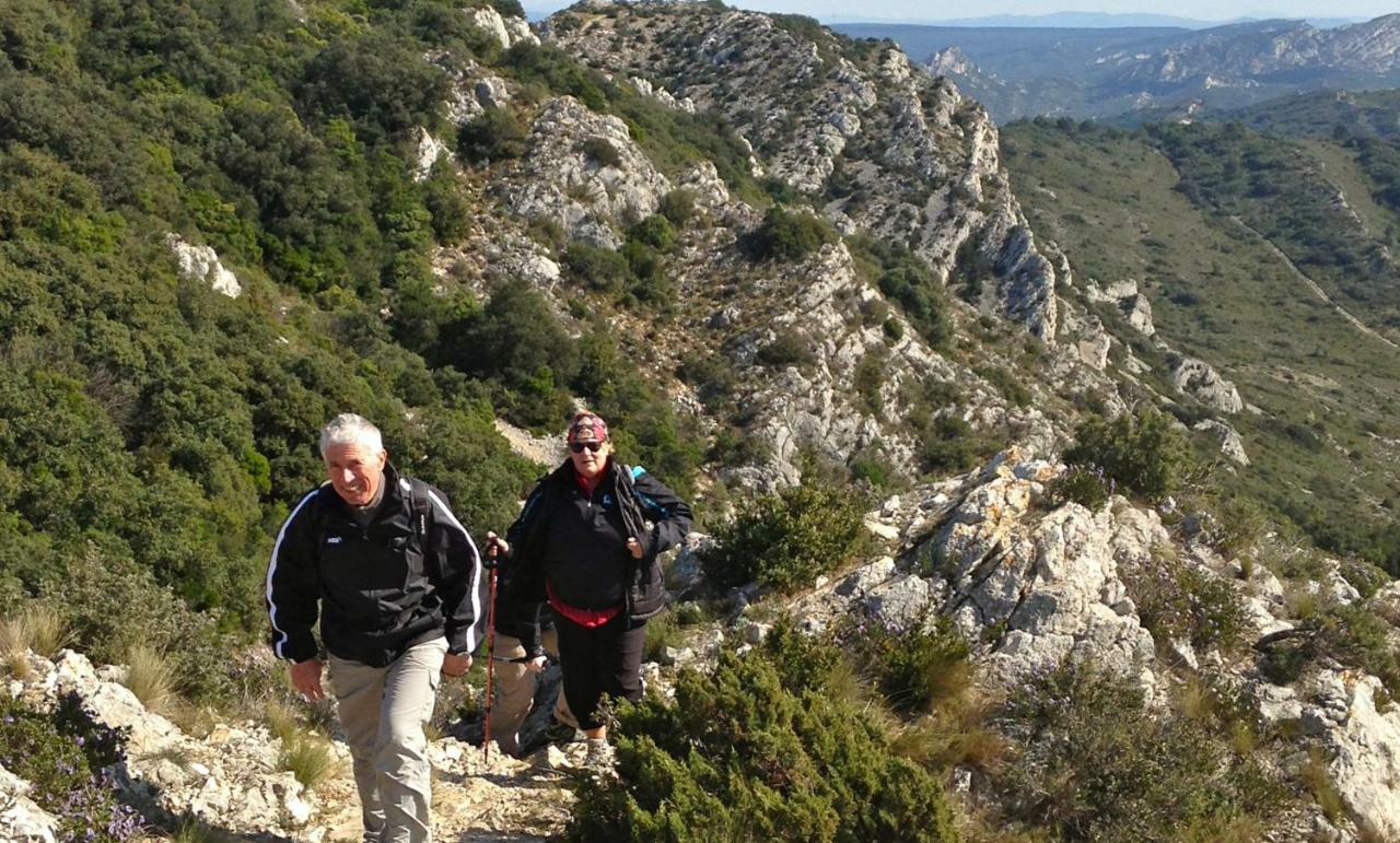 Les Lavandins-Gite Magali Saint-Rémy-de-Provence Eksteriør billede